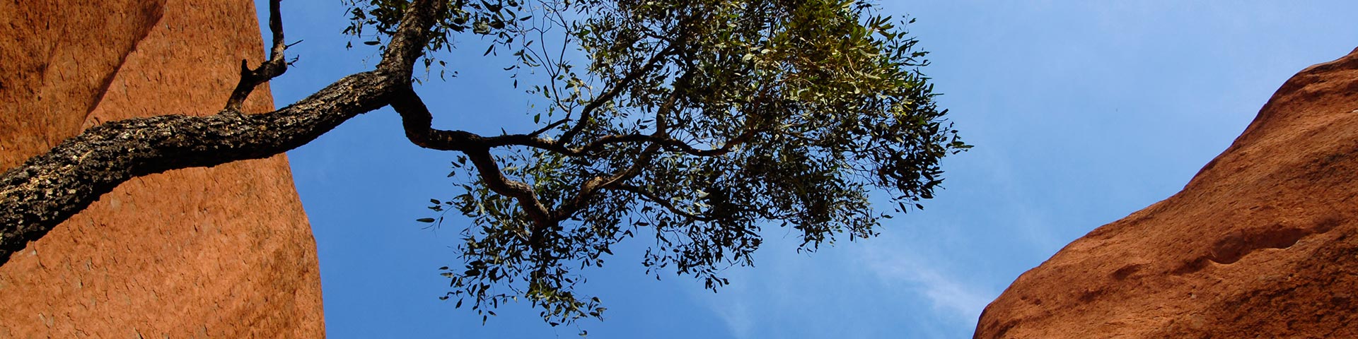 Australie